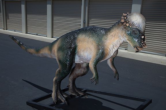 pachycephalosaurus jurassic park