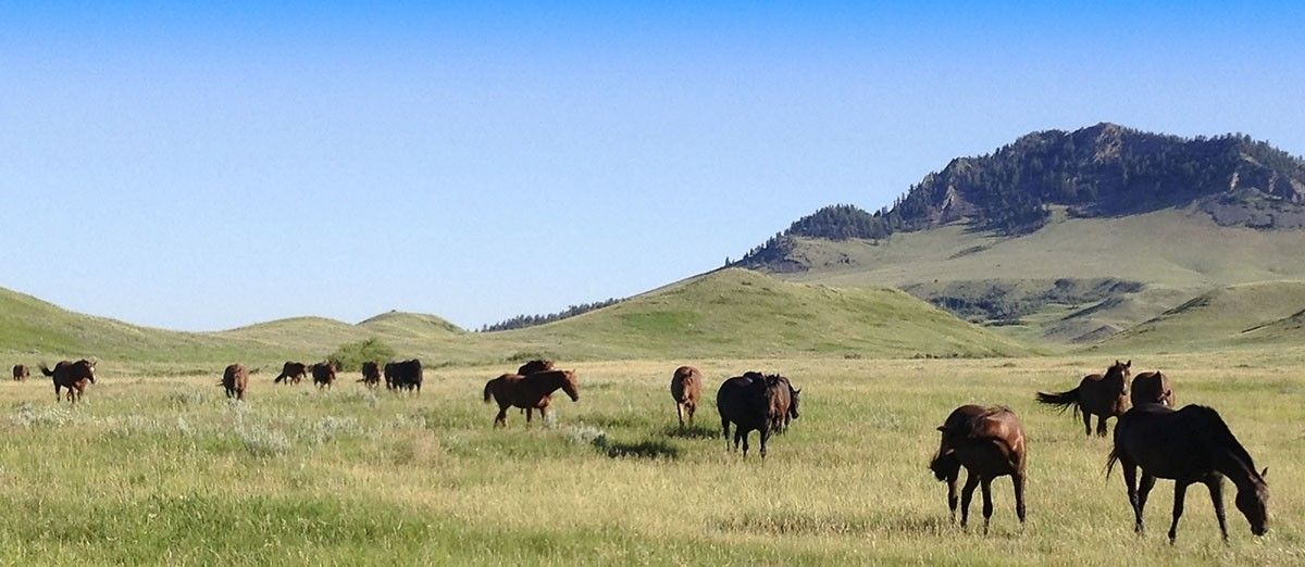 IX Ranch, Big Sandy, Montana for sale on Luxify