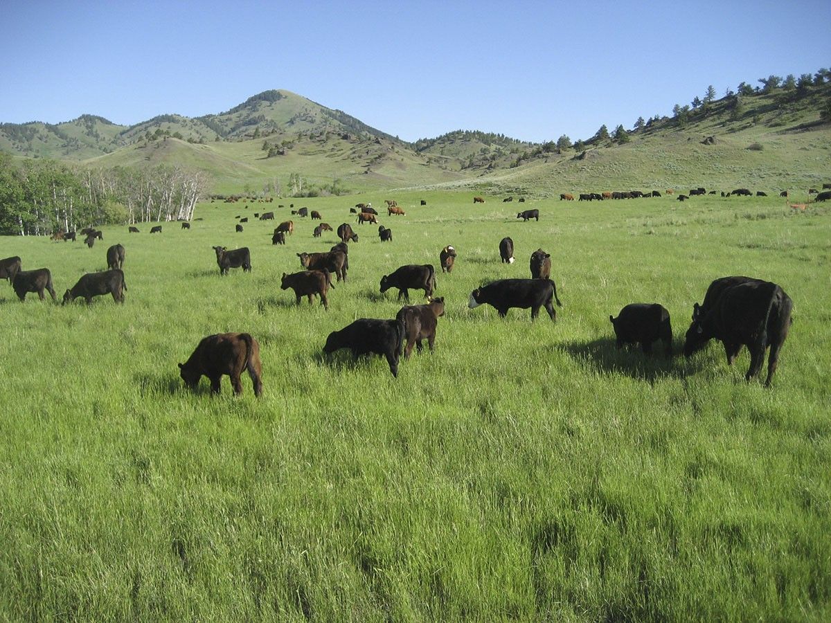 IX Ranch, Big Sandy, Montana for sale on Luxify