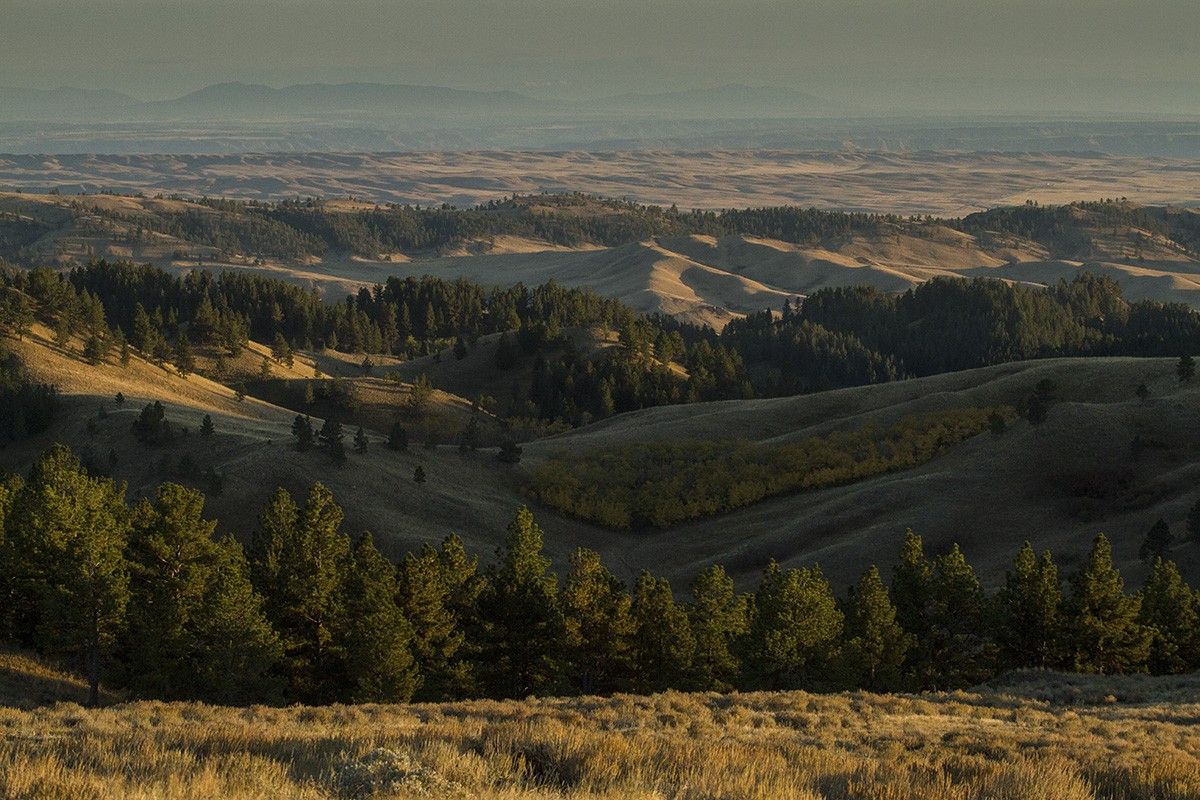 IX Ranch, Big Sandy, Montana for sale on Luxify